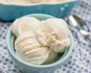 Delicious Carnivore Ice Cream Recipes You’ll Love to Make! 3 Homemade carnivore ice cream made with heavy cream and egg yolks, sugar-free and low-carb.