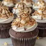 hersheys-smores-cupcakes-the-ultimate-chocolate-2026-02-23-220913-1